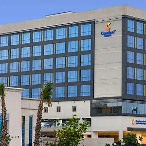Comfort King Road Djeddah